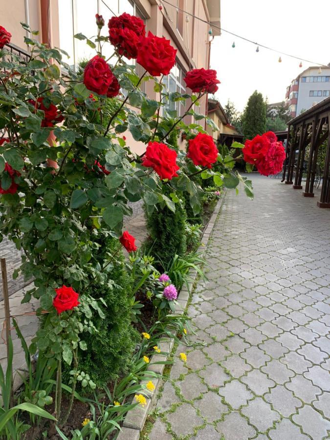 Pensiunea Passion Bucarest Exterior foto